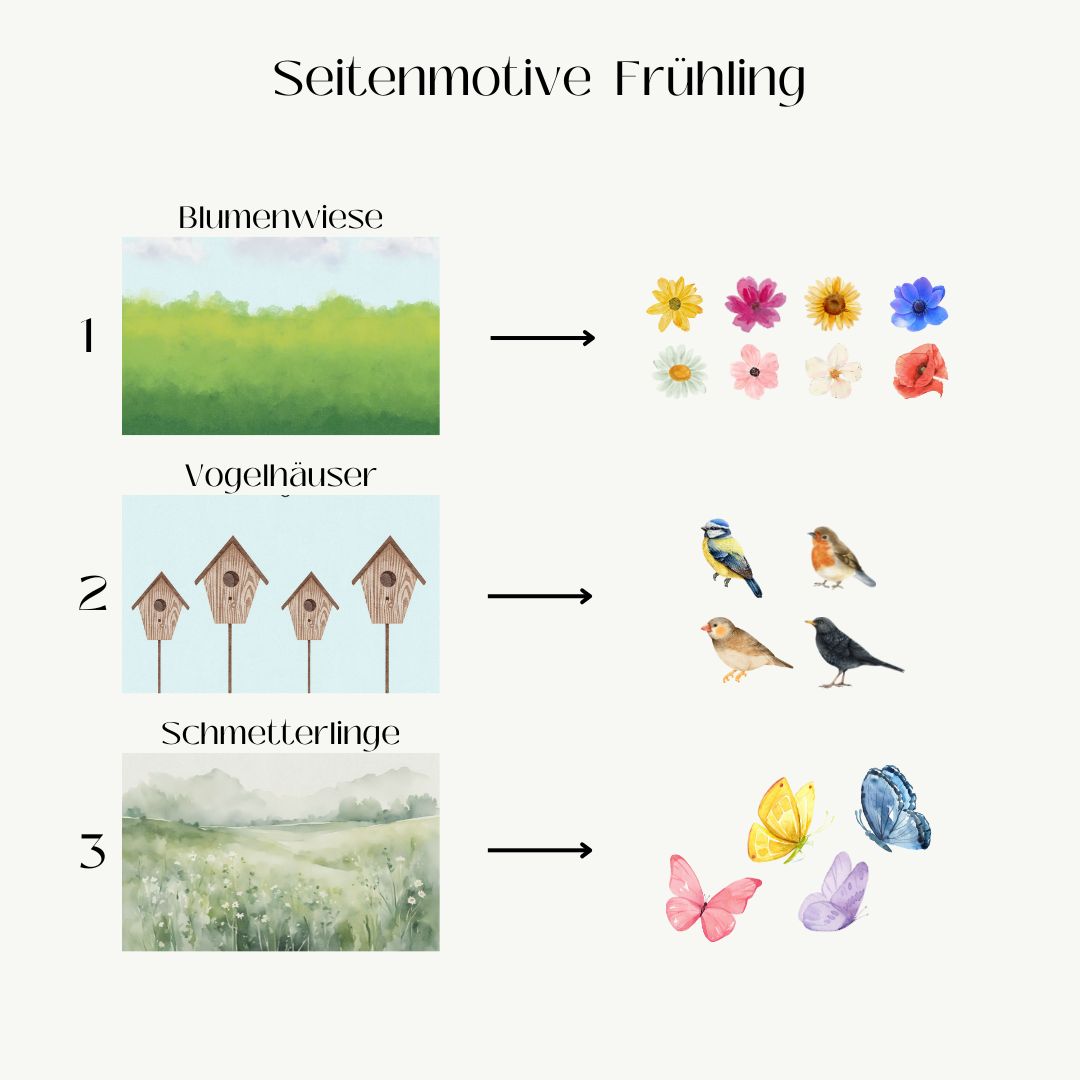Activity Book (komplett Set)