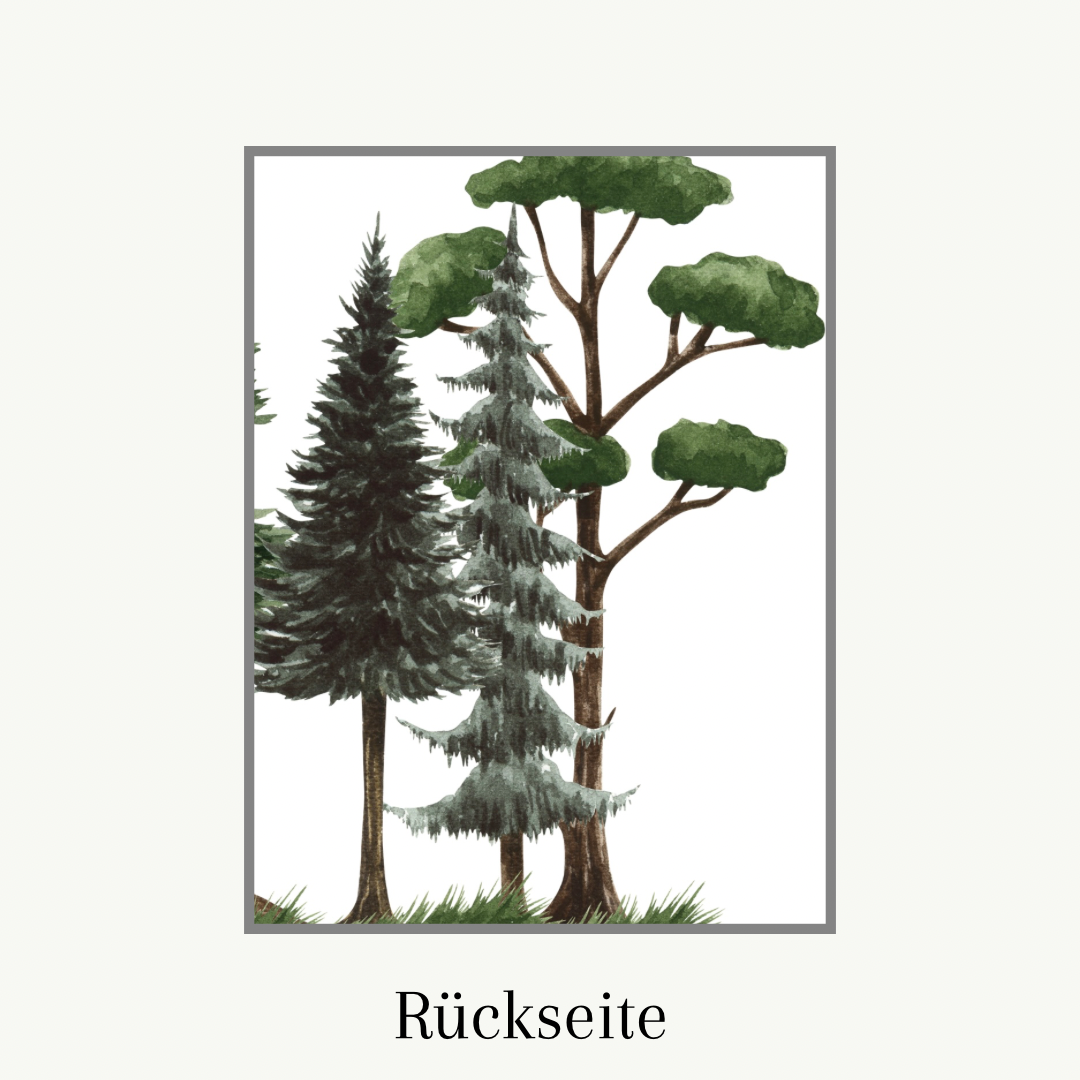 U-Heft Hülle Wald