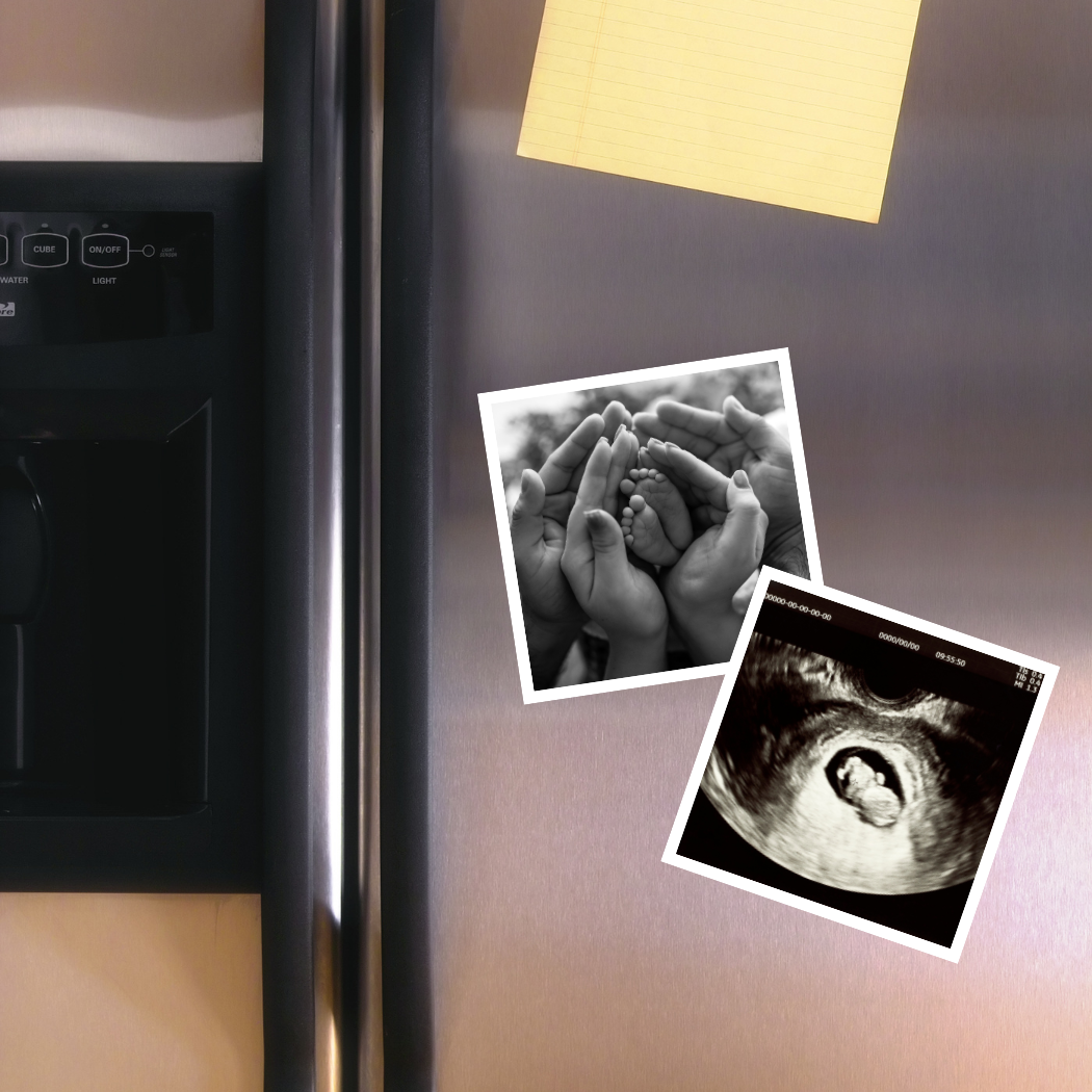 Fotomagnete im 12er-Set