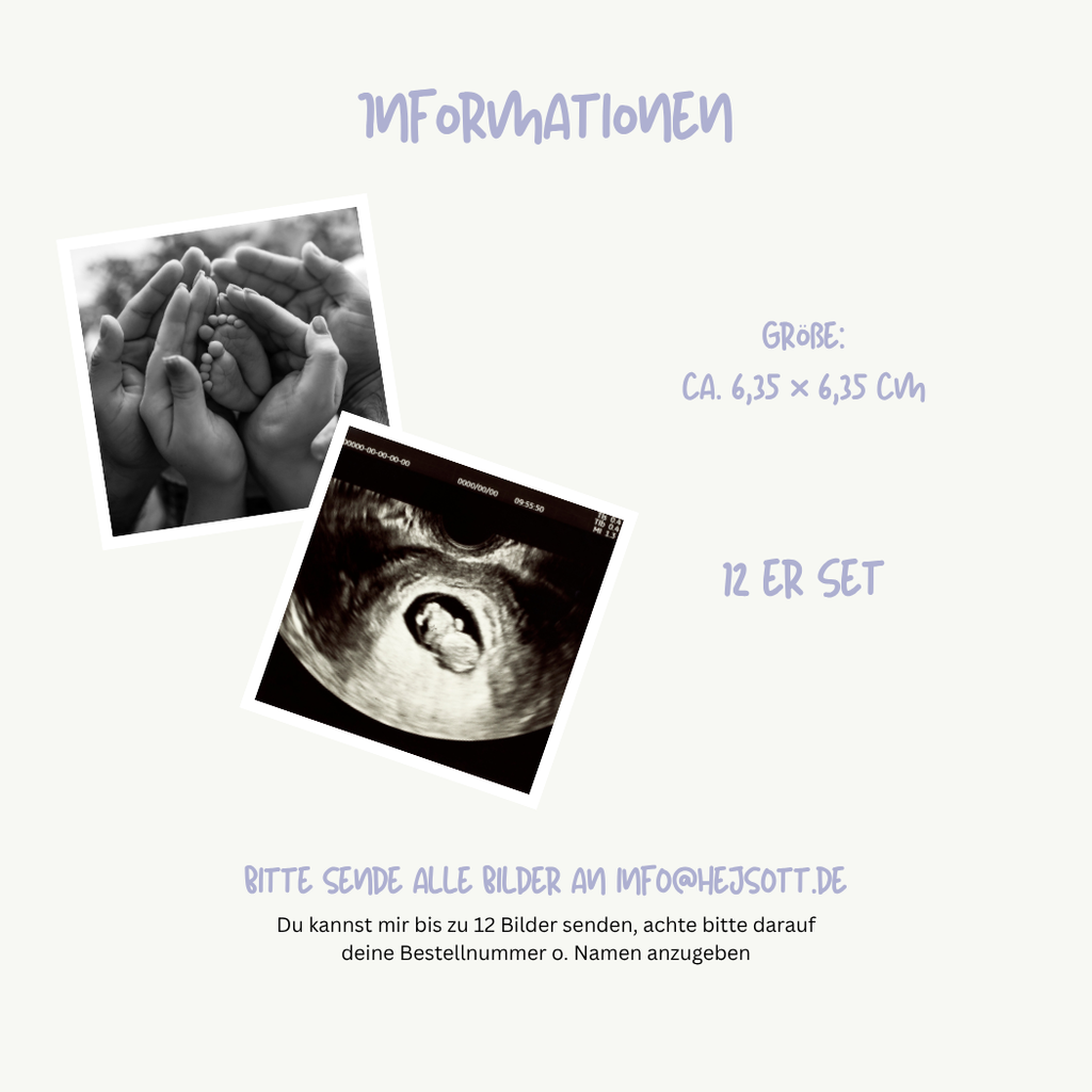 Fotomagnete im 12er-Set