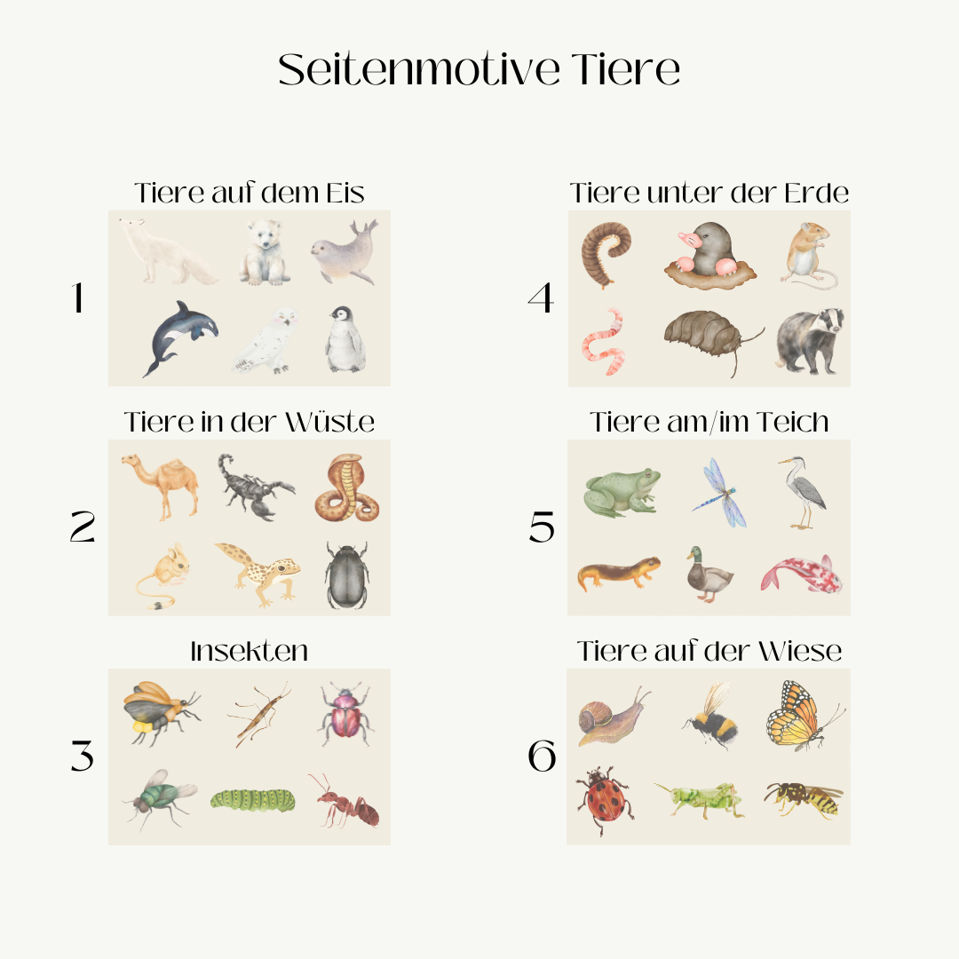 Activity Book (komplett Set)