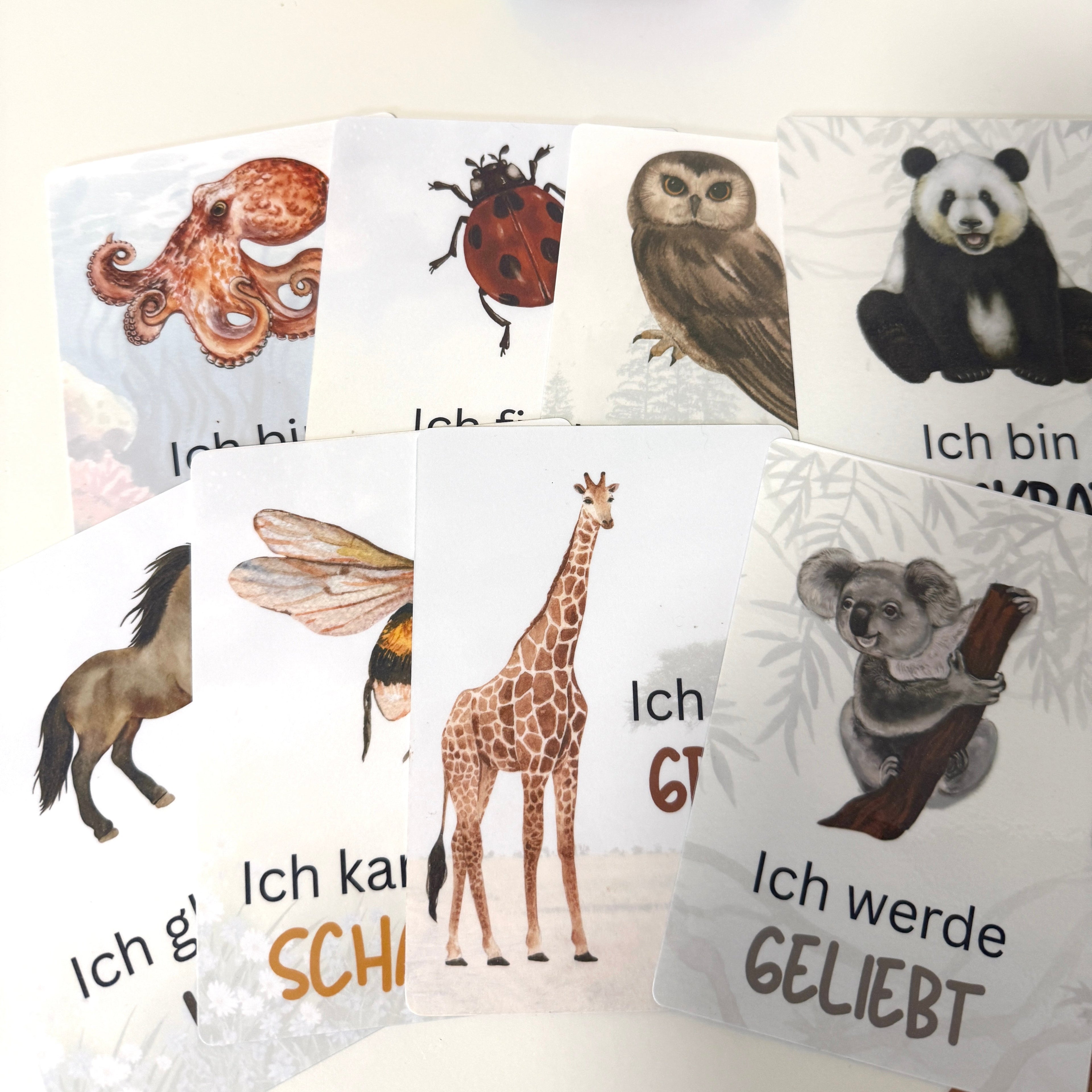 Affirmationskarten für Kinder | DIN A6 | mit Tieren | Selbstbewusstsein & Motivation für Kindergarten & Schule