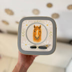 Schutzfolie Toniebox 2 Pferde